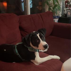 Gallery Photo 35