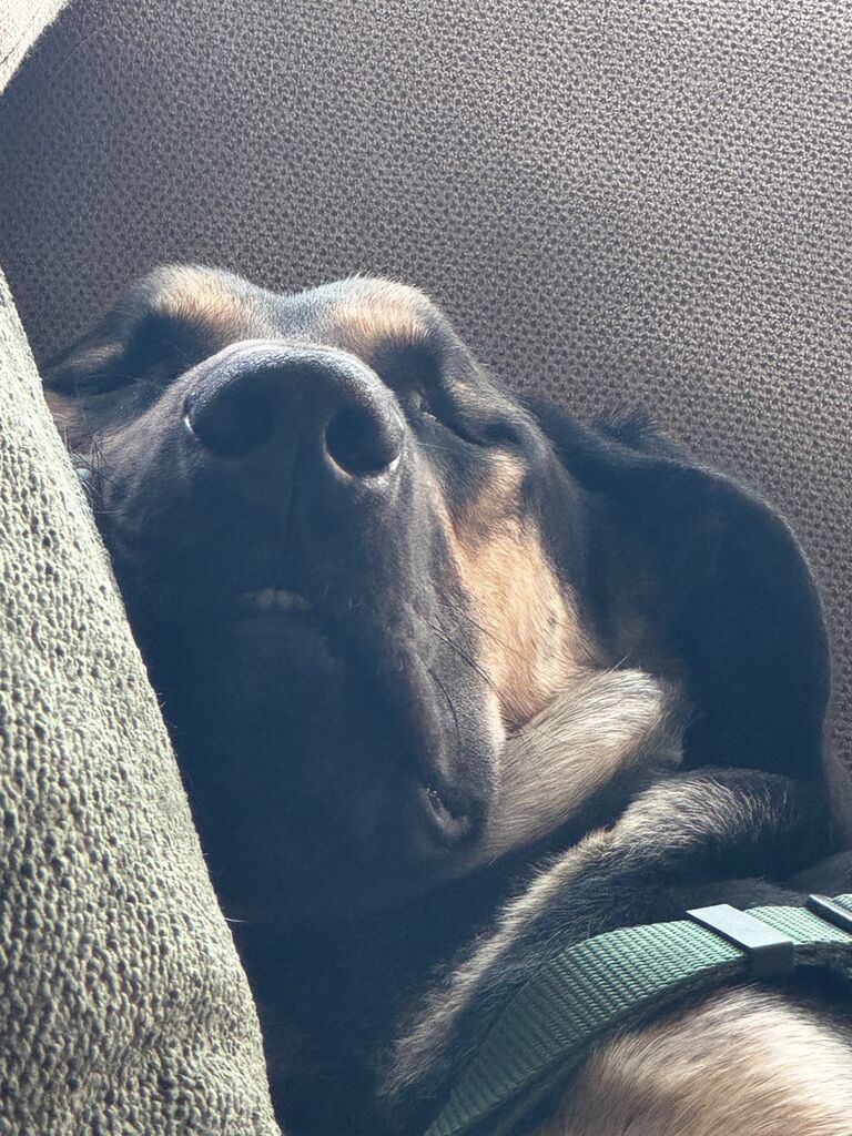 Life is Ruff.