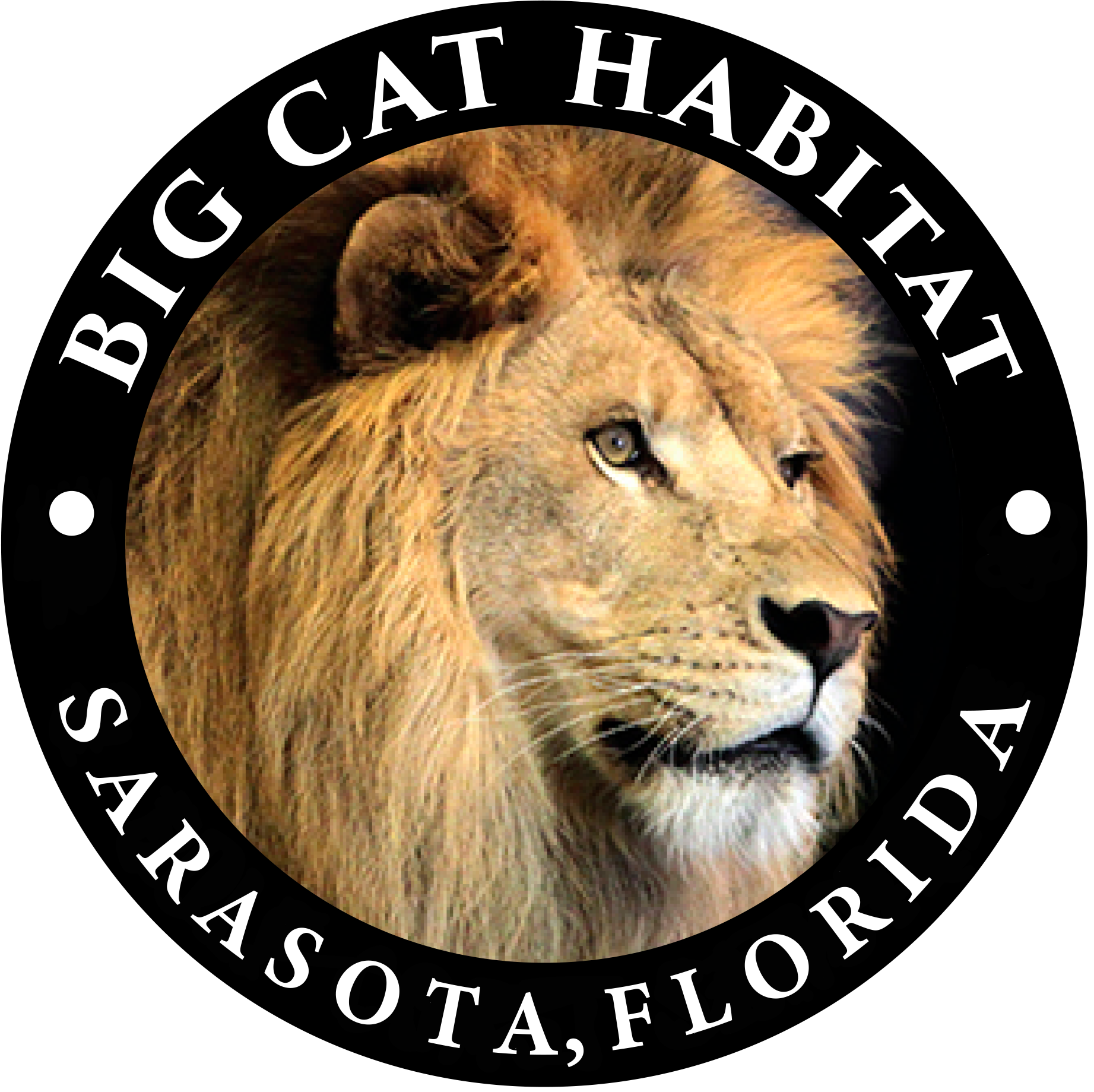 big-cat-habitat-rehearsal-dinners-bridal-showers-parties-the-knot