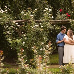 Gallery Photo 25