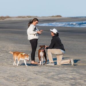 Gallery Photo 24