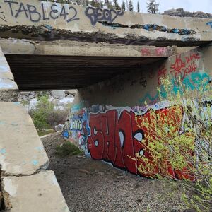 Gallery Photo 16