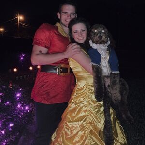 Gallery Photo 23