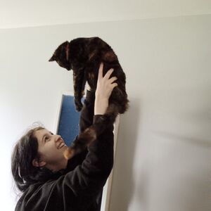 Gallery Photo 17