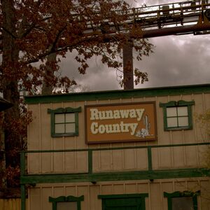 Gallery Photo 48