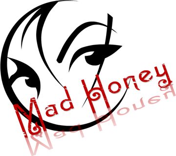 Mad Honey - Top 40 Band - Toronto, ON - Hero Main