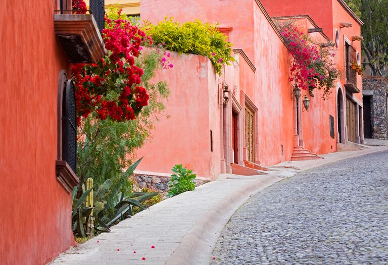 gorgeous street in san miguel de allende mexico for honeymooners painted pink with roses and natural greenery