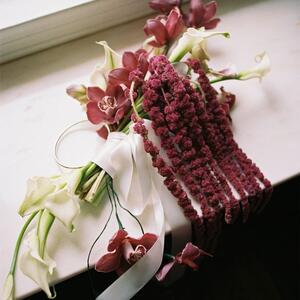 Gallery Photo 3