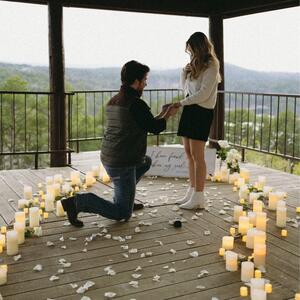 Gallery Photo 7