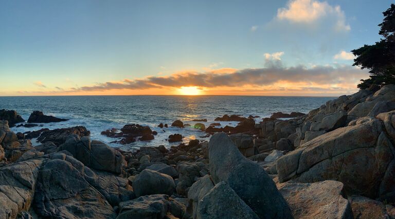 Watching the sunset
