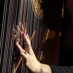 Jill DeGraaf / Harpist / Pianist for your event, profile image