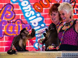 Twins and Jungle Friends - Animal For A Party - Sebring, FL - Hero Gallery 4