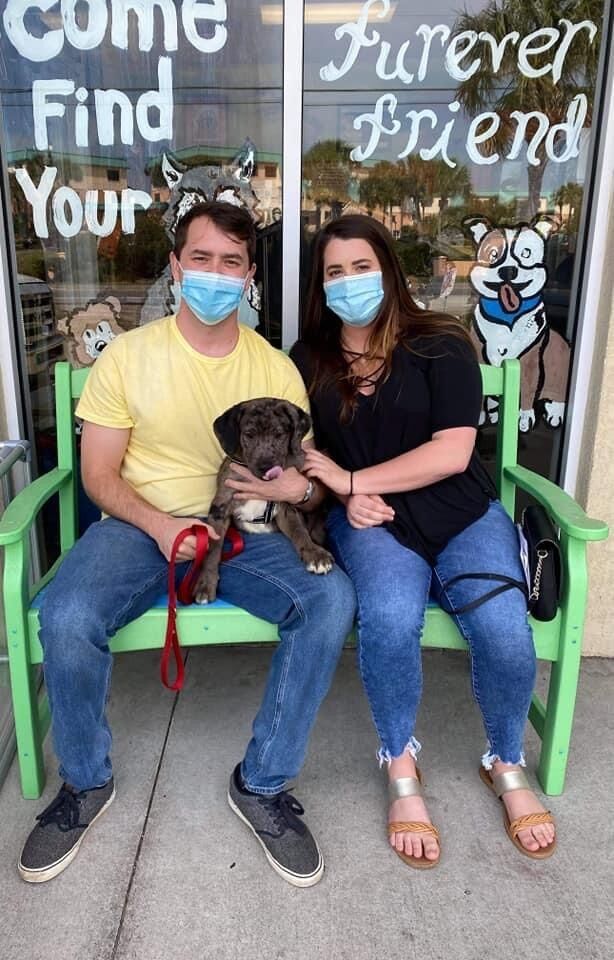 We adopted our sweet pup, Mochi! He was only three months old when we first got him.