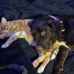 Gallery Photo 33
