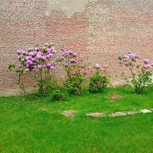 Gallery Photo 5