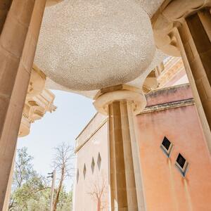 Gallery Photo 12