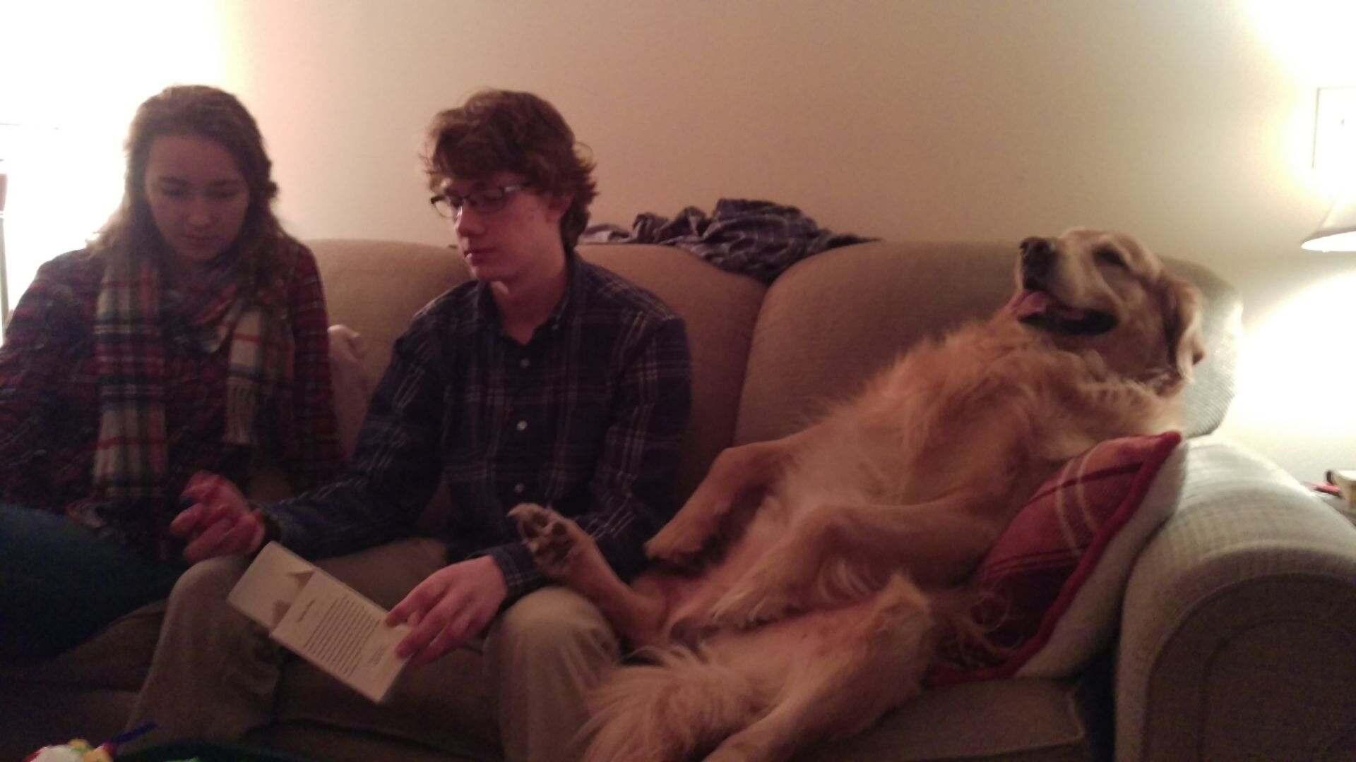 We also did this with my dog.  Whatever this is.  Hanging out I guess.