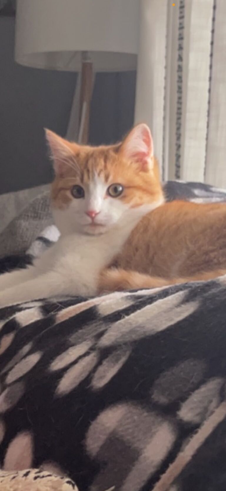 We rescued Sage Lee from outside!