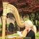 Professional harp music adds a touch of class. Gold concert harp resonates for weddings & parties!