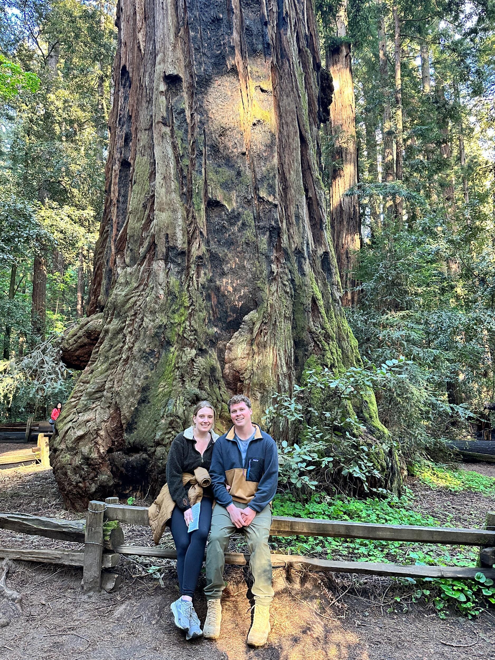 The redwoods almost sold a move to CA. 