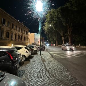 Gallery Photo 116