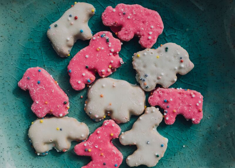 The Wizard of Oz theme party - animal crackers