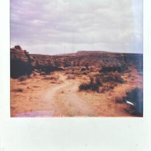 Gallery Photo 12