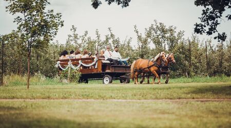 Apple Holler | Reception Venues - The Knot