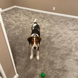Gallery Photo 117