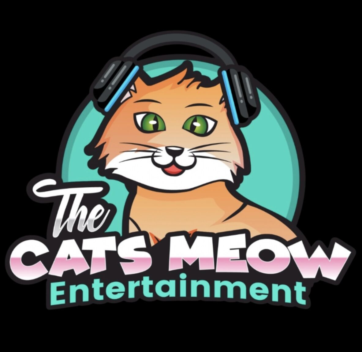 The Cats Meow Entertainment | DJs - The Knot