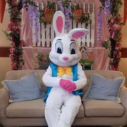 PartySolutionsBoston-Easter Bunny-Party Characters, profile image