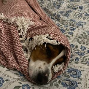 Gallery Photo 129
