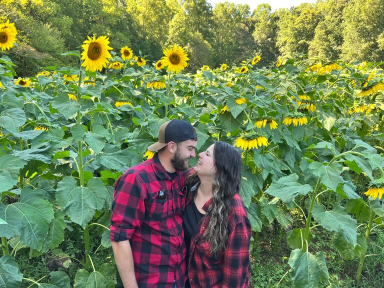 Sunflower field