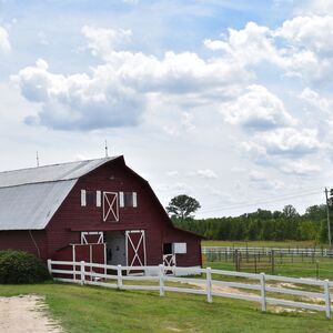 Gallery Photo 8