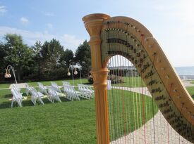 Teresa Tafuri - Harpist - North Kingstown, RI - Hero Gallery 1