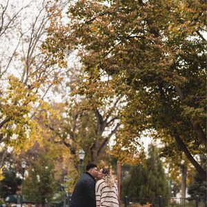 Gallery Photo 29