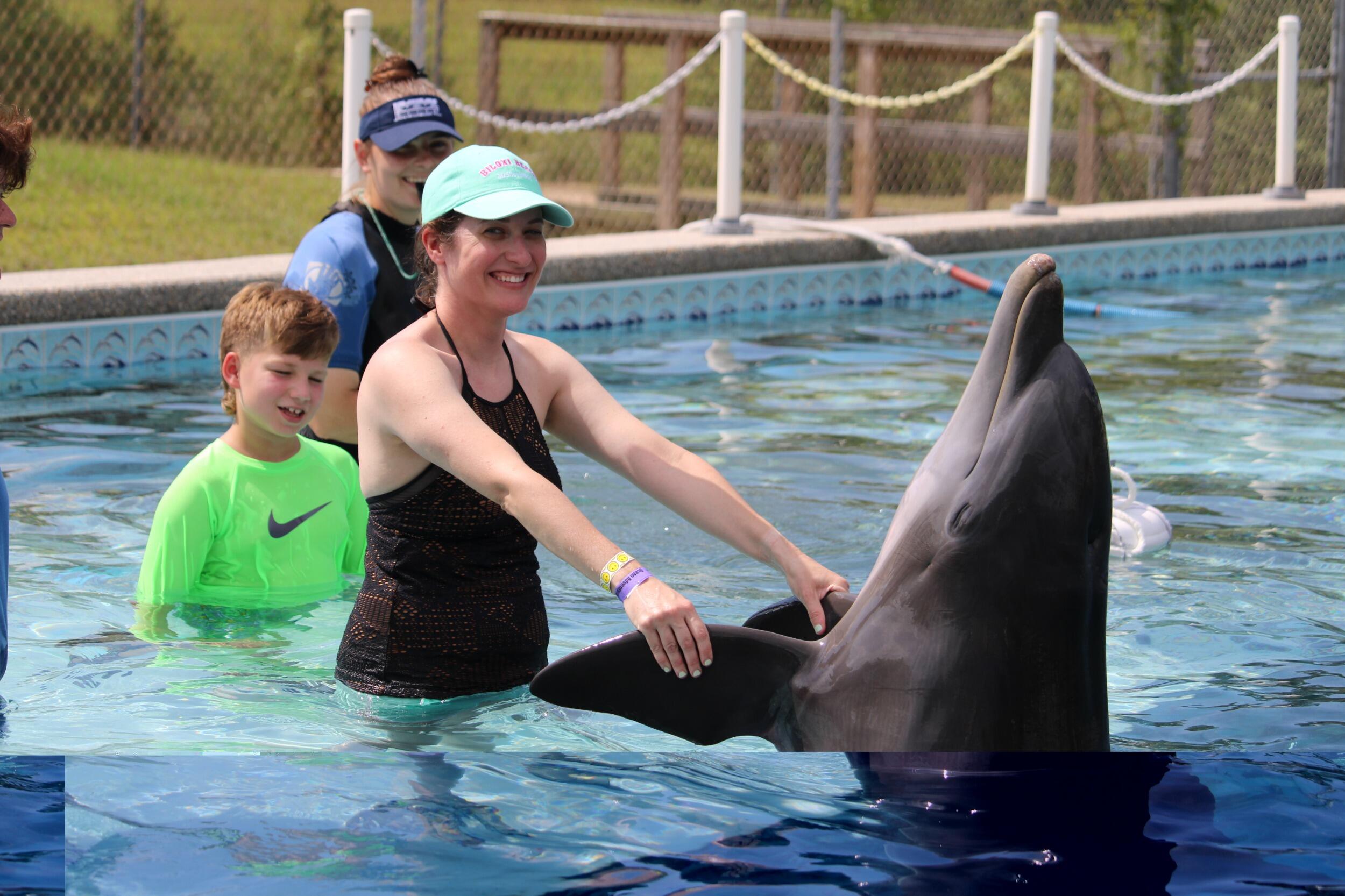 Dolphin Swim
