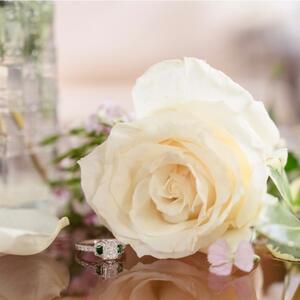 Gallery Photo 31
