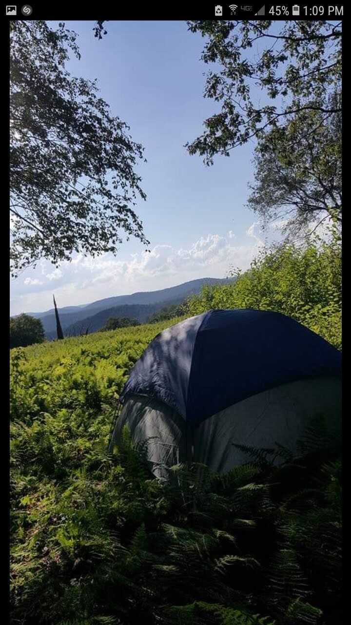 The last backpacking trip before Barryn came! It was the first weekend of Hailee's Third trimester. They backpacked 3 days in North Central PA.