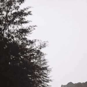 Gallery Photo 15