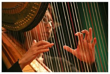 Emilia Pepen, Pepen Studios - Harpist - Cape Neddick, ME - Hero Main