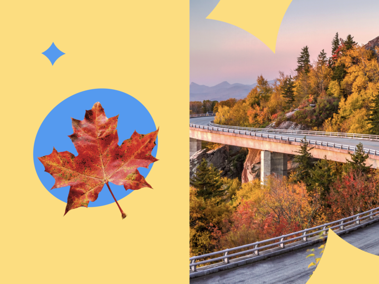 A romantic autumnal drive for your honeymoon across the US