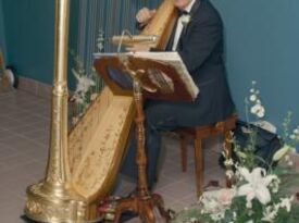 Bill Butner - Harpist - Memphis, TN - Hero Gallery 1