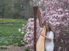 Robin  Arioto Fickle - Harpist - Morrisville, PA - Hero Gallery 3
