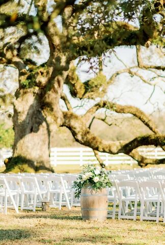 Stella | Reception Venues - The Knot