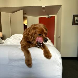 Gallery Photo 54
