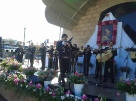 mariachi ruiseñor - Mariachi Band - Los Angeles, CA - Hero Gallery 3