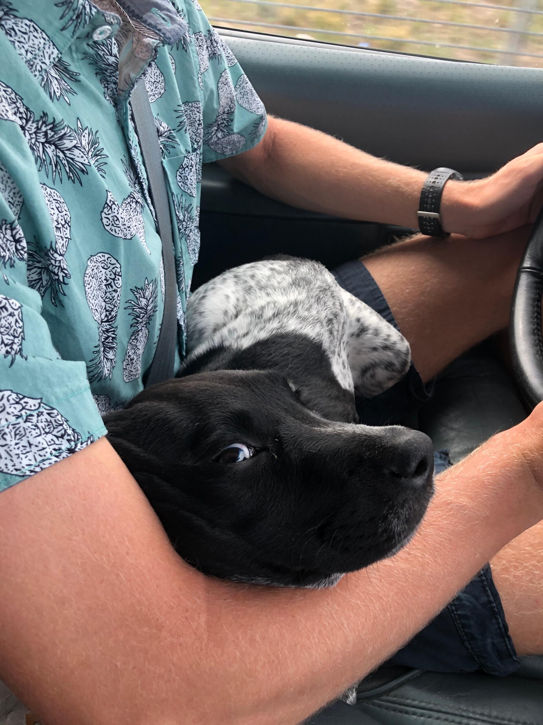 Bonus 2020 pictures because look at that face!!