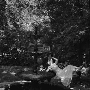 Gallery Photo 50