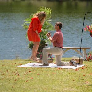 Gallery Photo 14
